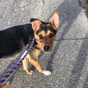 Meet your Posher, Sarah